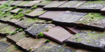 Merthyr roof repair costs